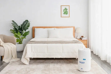 344562193:Eco Soft Coverlet,