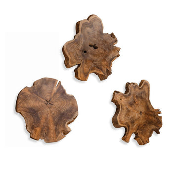 093496042:Kalani Wall Art, AngledAngle