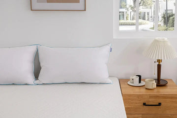 019635405:Down Pillow Pillow,