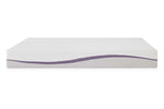 424941159:Purple