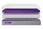 830178876:Purple