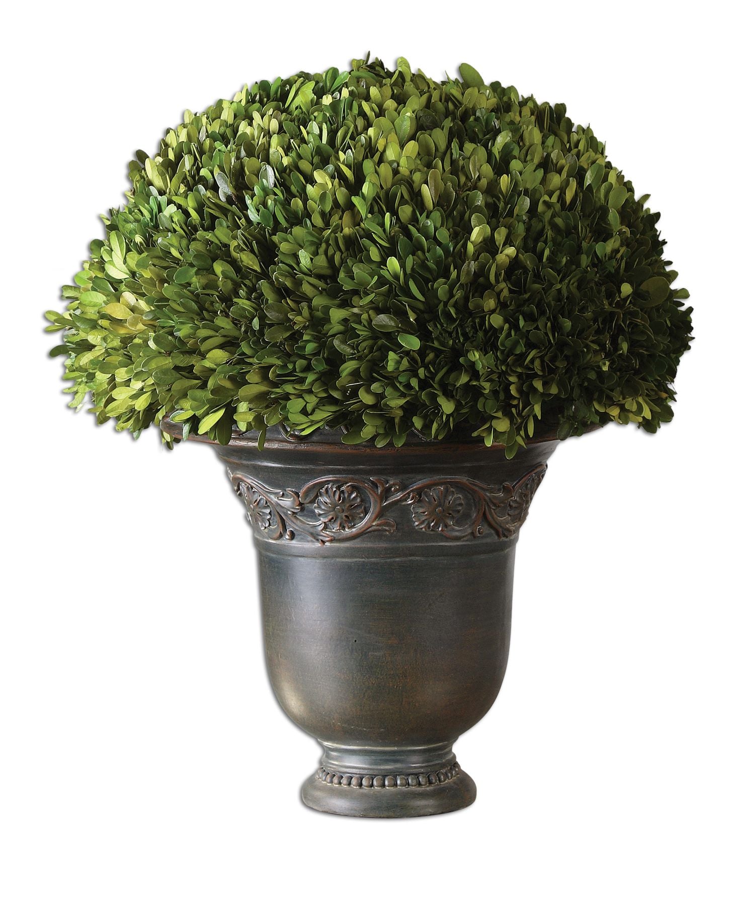 432683046:Globe Preserved Boxwood, Image 1