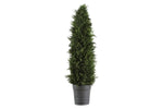 026778038:Cypress Cone Topiary