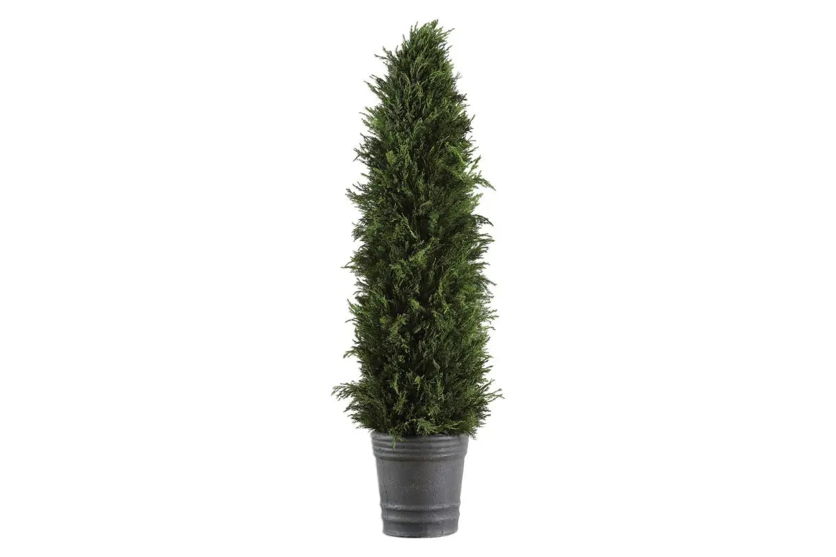 026778038:Cypress Cone Topiary