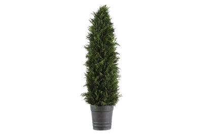 026778038:Cypress Cone Topiary