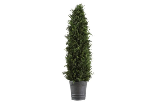 026778038:Cypress Cone Topiary