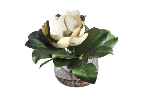 306433445:Celia Magnolia Accent