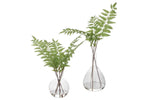 281827297:Country Ferns S/2