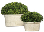 703560999:Oval Domes Preserved Boxwood, Set of 2, Image 1