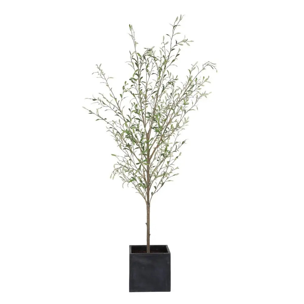 786971823:Abundance Plant, AngledAngle