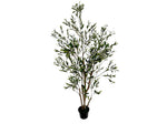 598551251:Acosta 6Ft Olive Tree, 