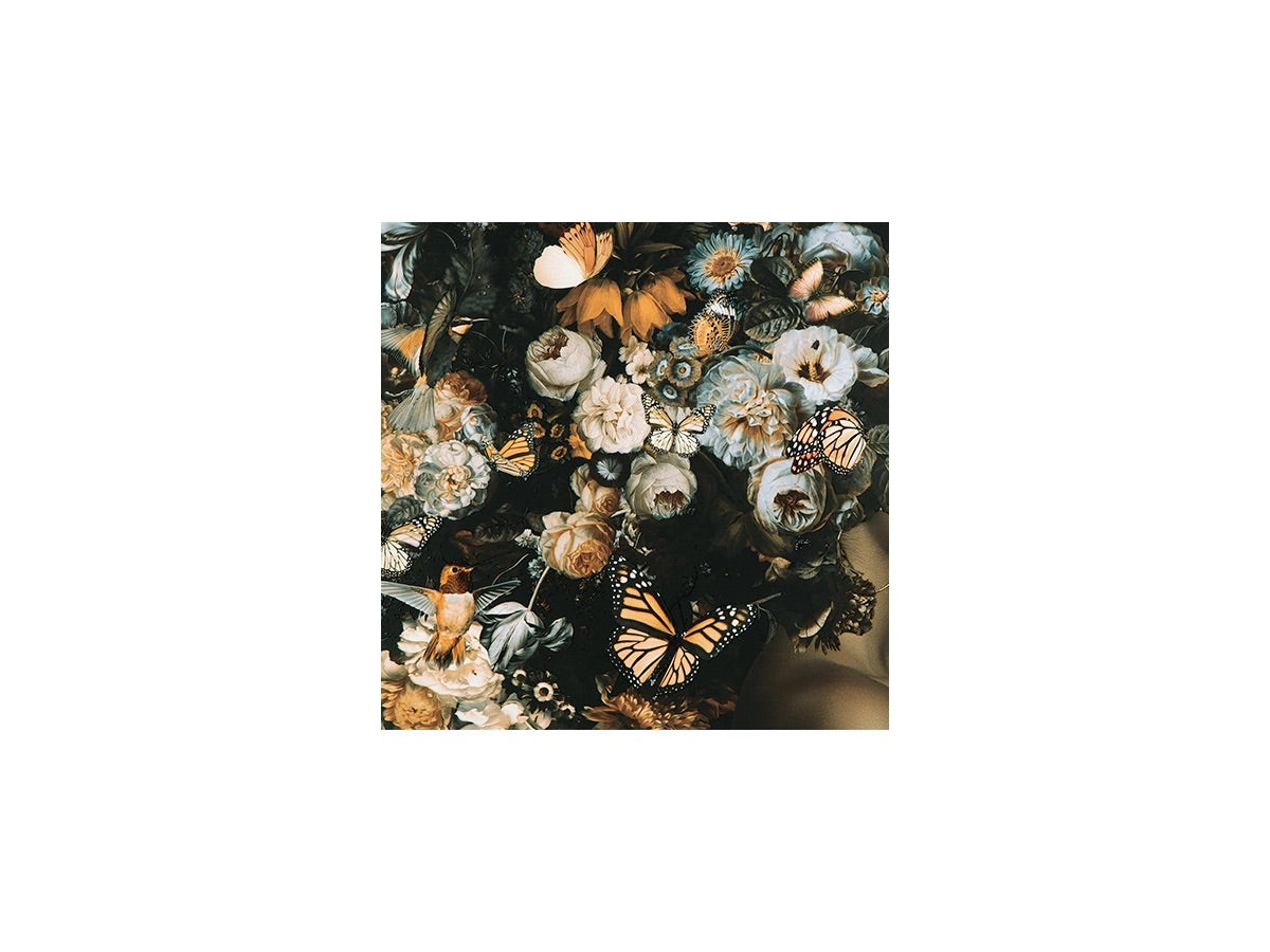 663476013:Valfer Wall Art, 