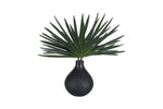 281873572:Axis Plant, AngledAngle