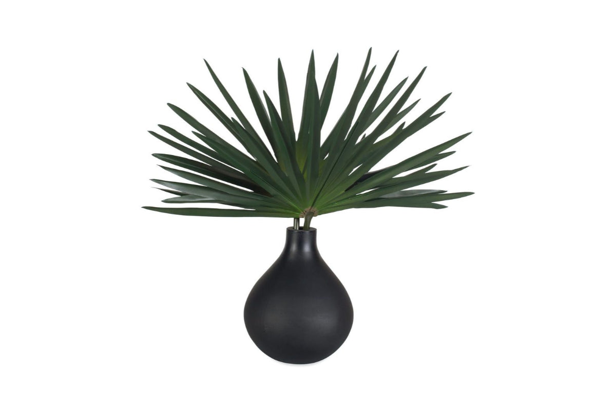 281873572:Axis Plant, AngledAngle