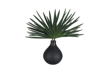 281873572:Axis Plant, AngledAngle