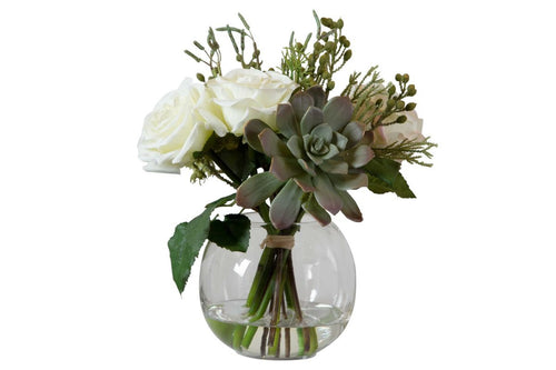 663729263:Belmonte Plant, 