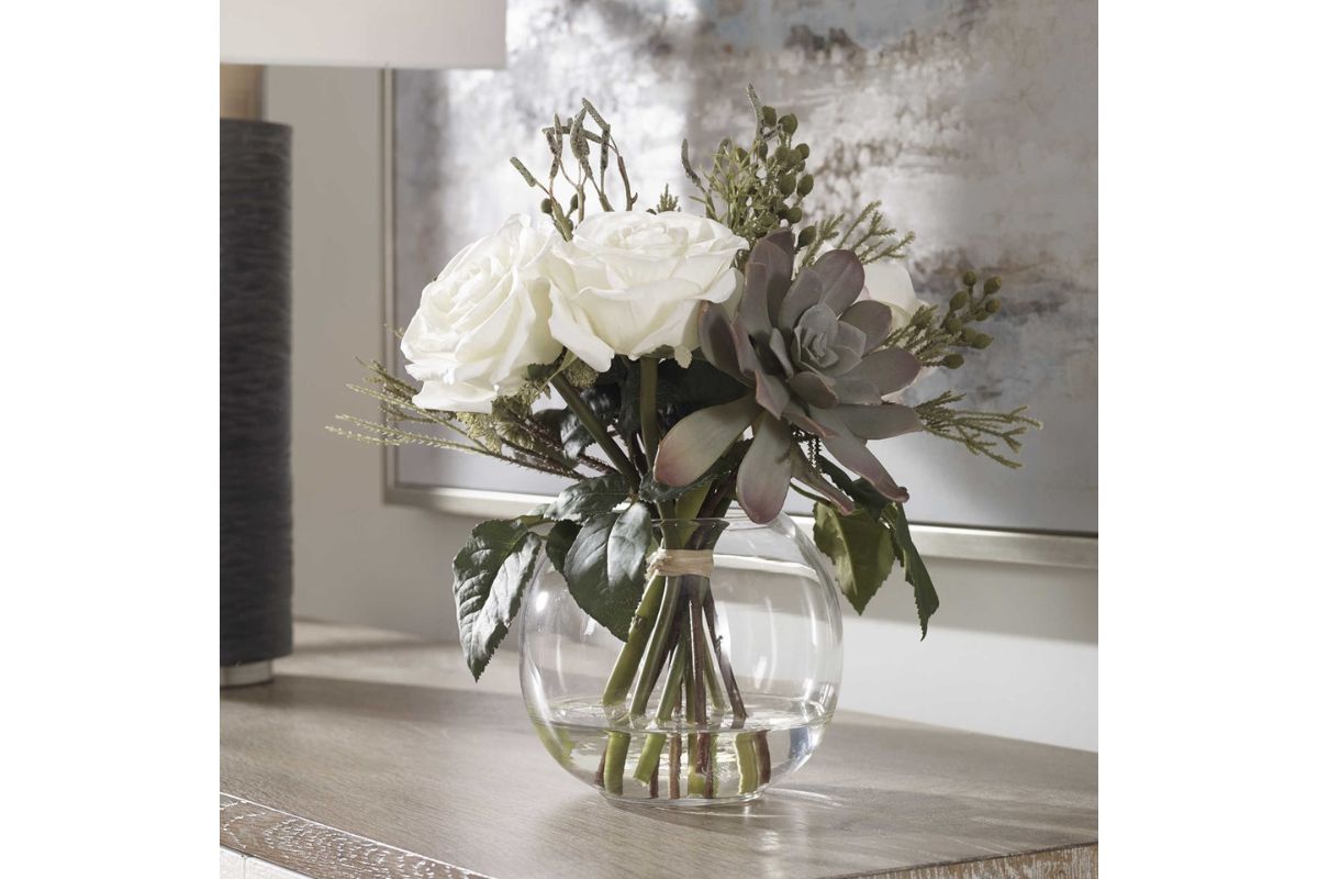 663729263:Belmonte Plant, Styled