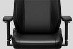 366300441:Blacklyte Athena Pro Gaming Chair, 