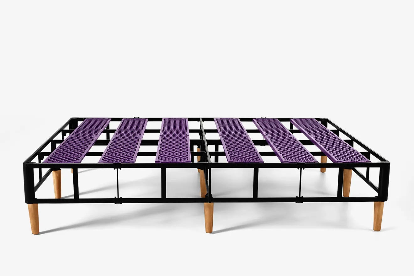 102540472:Purple