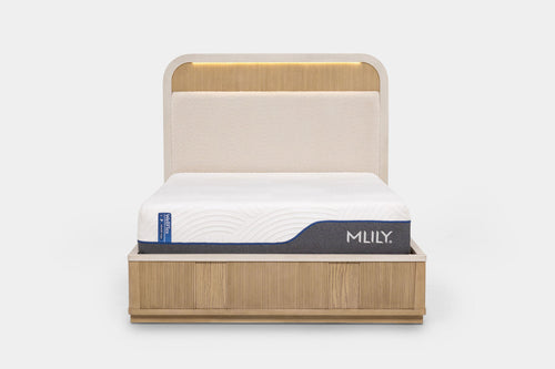 CAMBRIE01:Cambrie Upholstered Panel Bed, Front