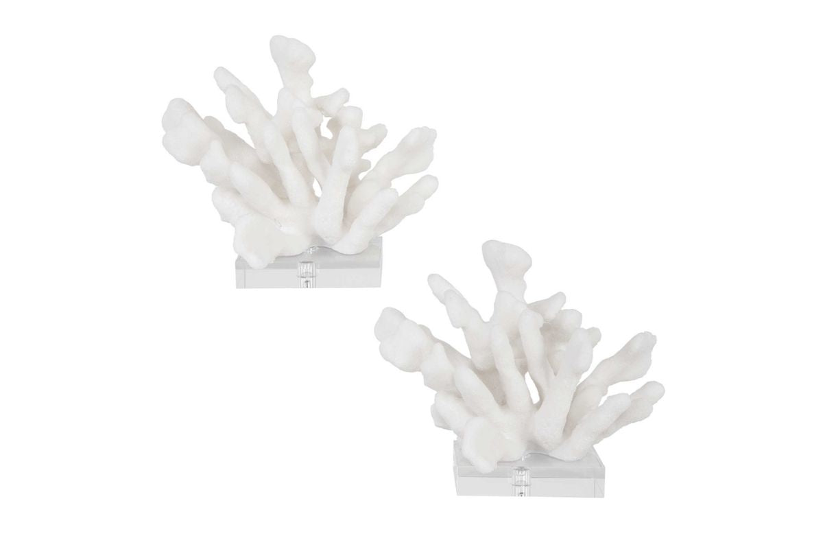 947137633:Charbel Bookend Or Box, Front