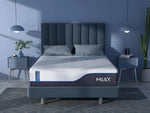 Chiropro 1.0 Firm Mattress  