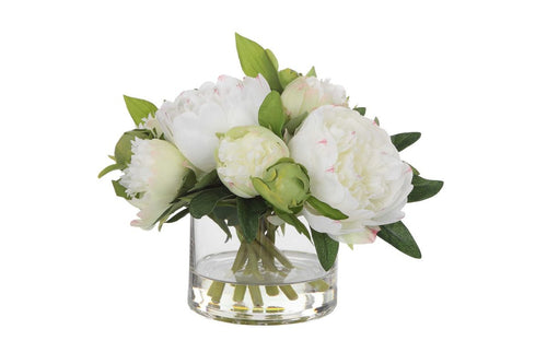 599257801:Garden Peony Plant, 