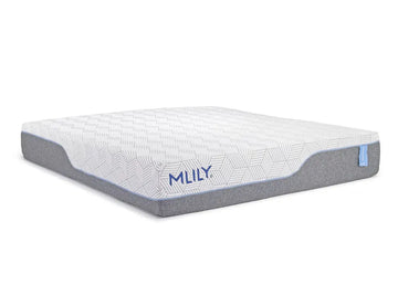 542448120:MLILY
