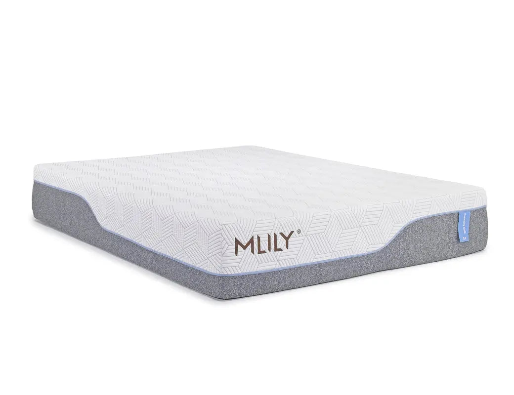 007952809:MLILY