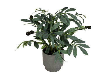 839088520:Haze 16In Olive Plant, 