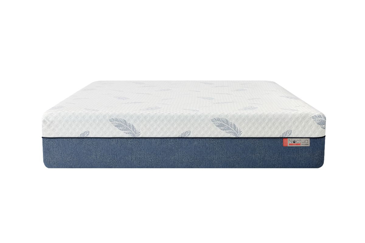 223826951:Mlily 10 Inch Noctua Lark Plush Hybrid Mattress, Front