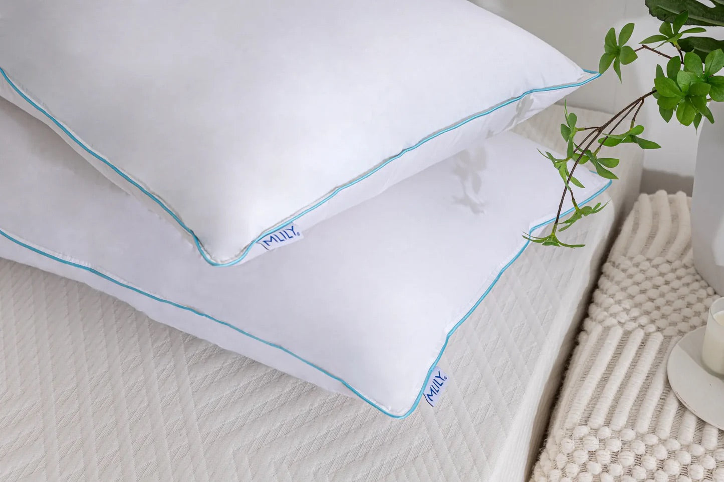 019635405:Down Pillow Pillow, 