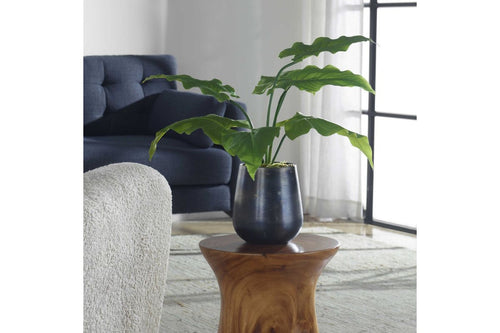 501718649:Mari Calla Plant, Styled