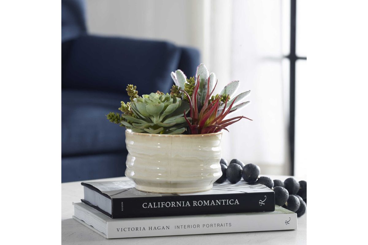 829671787:Mesa Succulent Plant, Styled