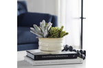 829671787:Mesa Succulent Plant, Styled