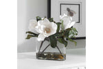 642132140:Middleton Magnolia Plant, Styled