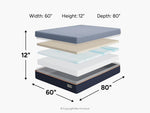 558423284:Ego Black 12 Inch Medium Mattress, 