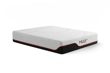 267745226:Mlily 12 Inch Manchester Unite, 