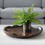 471063627:Natures Edge Tray Or Canister, Styled