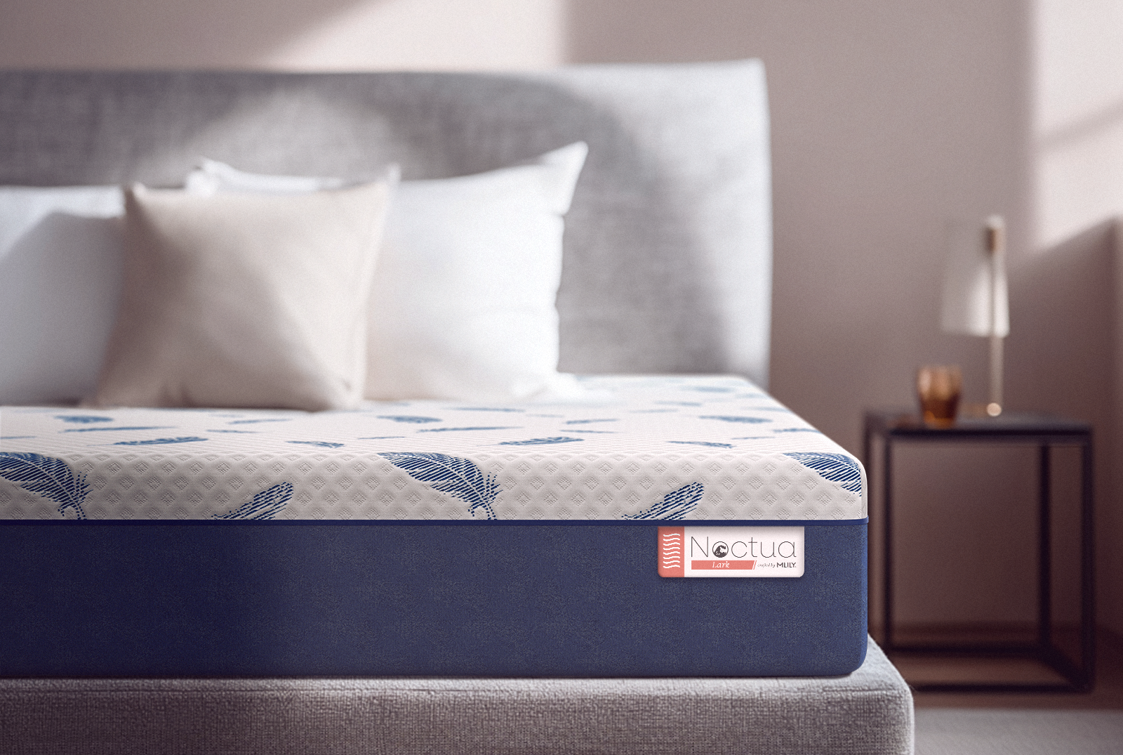 081026822:Mlily 10 Inch Noctua Lark Plush Hybrid Mattress, 