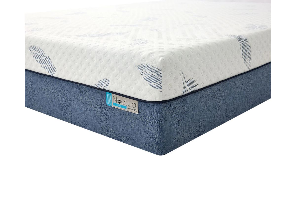 450669515:Mlily 12 Inch Noctua Tern Medium Hybrid Mattress, 