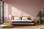 248184818:Mlily 10 Inch Noctua Lark Plush Hybrid Mattress, 