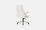 896642919:Nouhaus Posture Desk Chair, BackAngled
