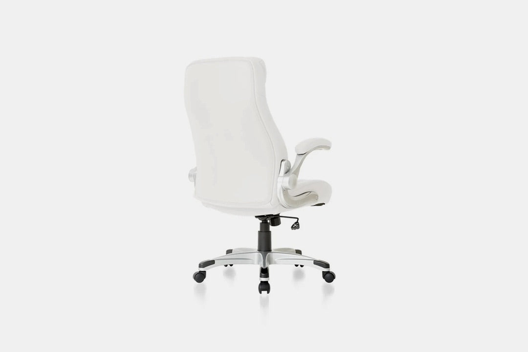 896642919:Nouhaus Posture Desk Chair, BackAngled