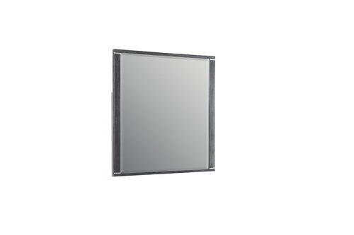 538424108:Odessa Mirror, AngledAngle