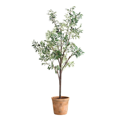 028531951:Olea Plant, Side