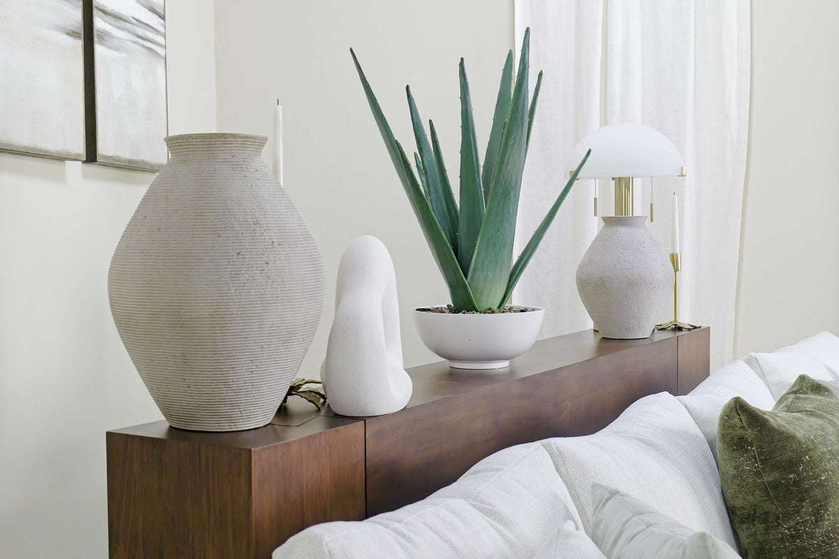 428520832:Evardo Aloe Plant