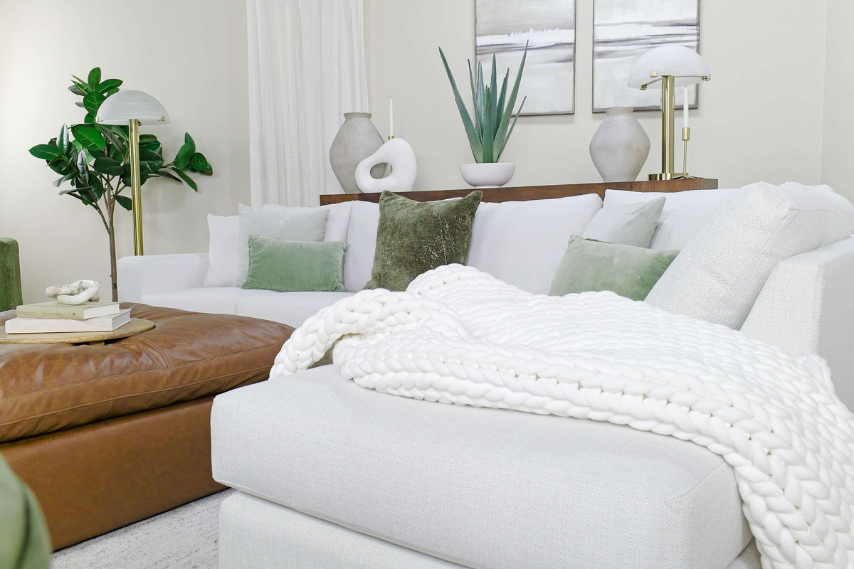 428520832:Evardo Aloe Plant