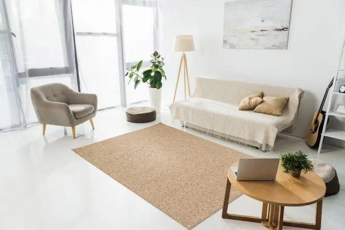 212948323:124001 Pab Rug, Styled