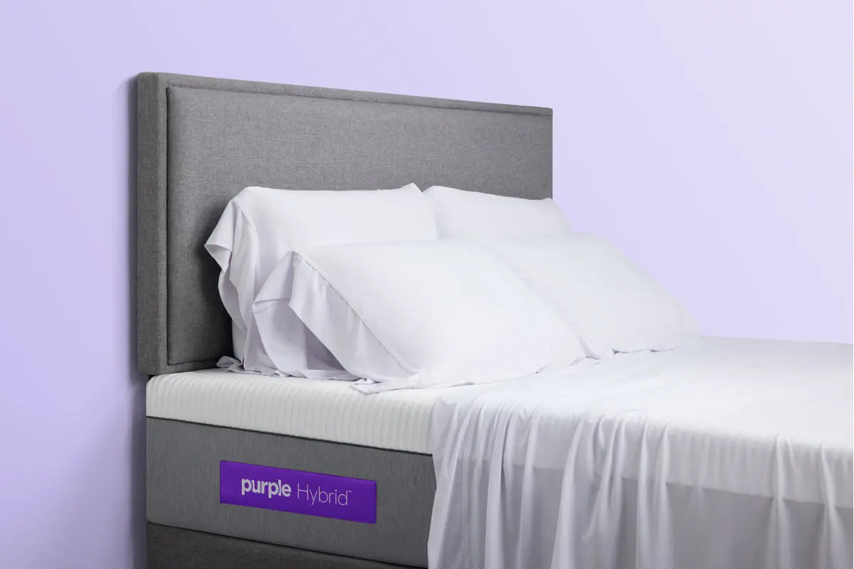 404859289:Purple